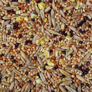 seed mix (6 in 1)
